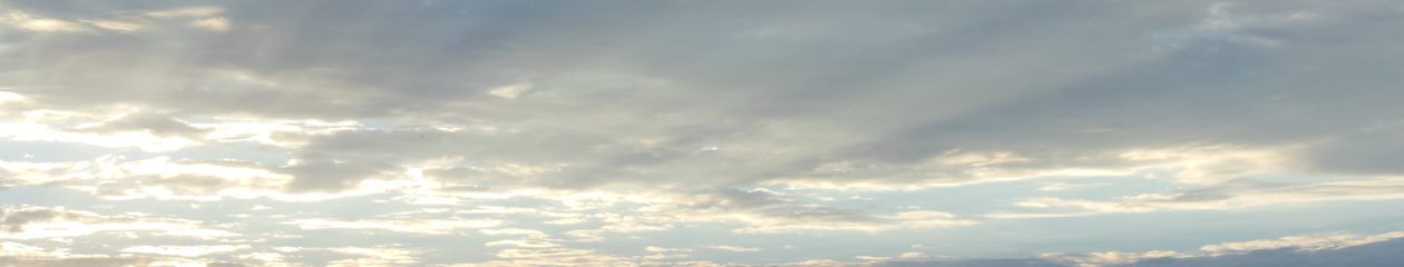 Tuesday Morning Love ™